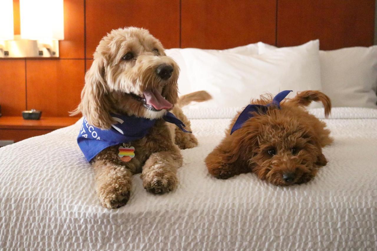 Sonesta Select Boston Danvers Ngoại thất bức ảnh